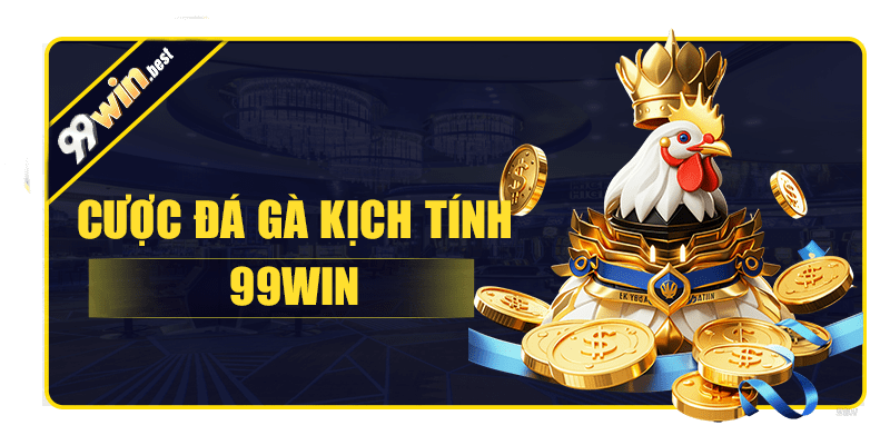 Chiến kê mãn nhãn với các trận đấu gây cấn