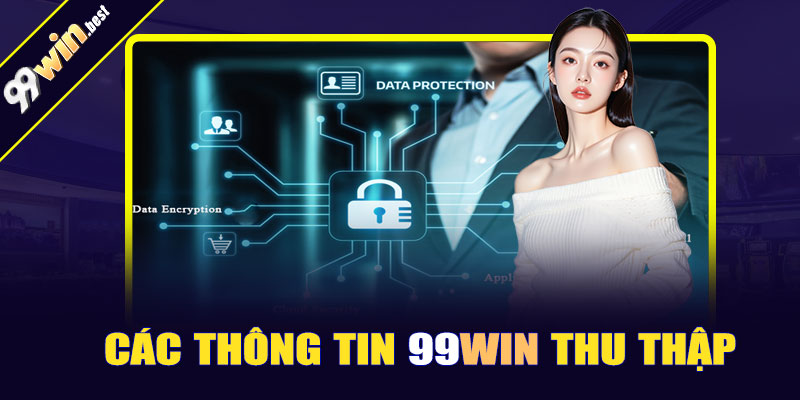 Các thông tin 99win thu thập trong chính sách bảo mật